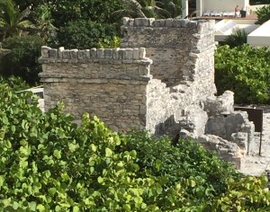 Watching for over 500 years...